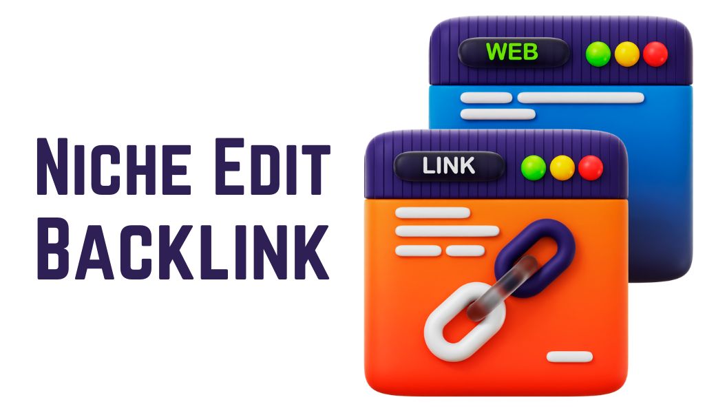 Niche Edit Backlink